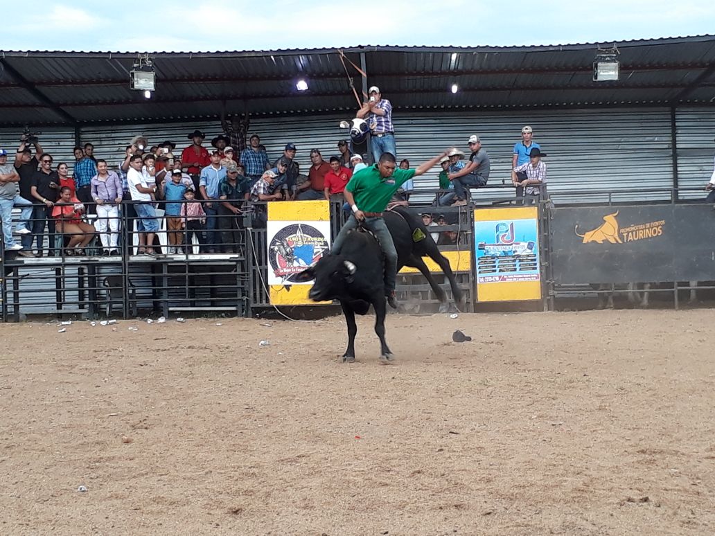 TOROS1